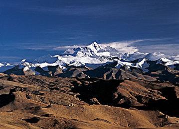 《咩咩启示录》大型更新不洁之盟免费上线 多项新内容